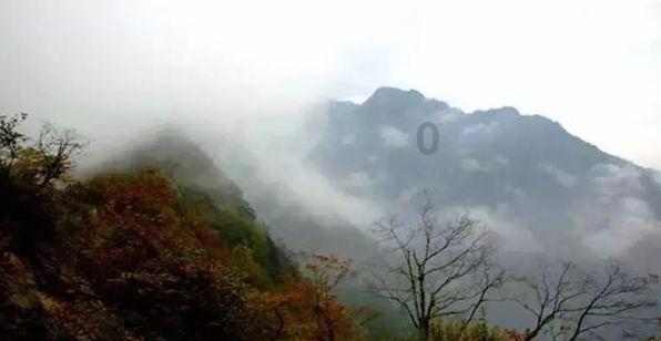 勿忘我